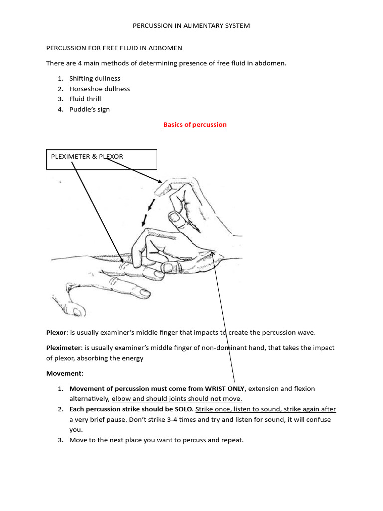 Abdominal Percussion Techniques Explained | PDF | Abdomen