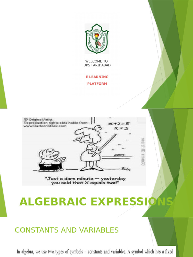 Understanding Algebraic Expressions | PDF