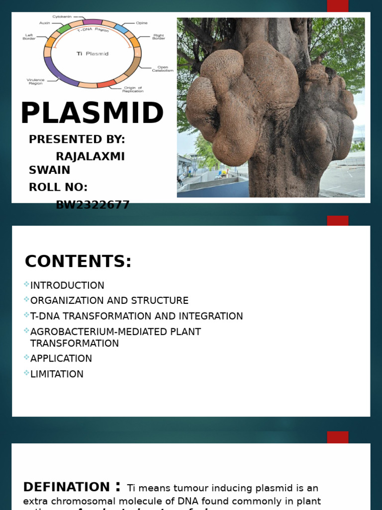 Ti PLASMID | PDF | Plasmid | Health Sciences
