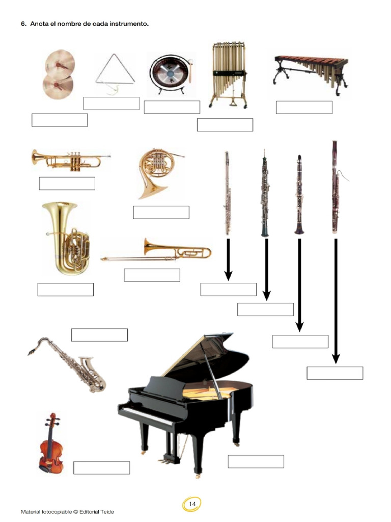 Instrumentos Musicales de Viento y Cuerda | PDF