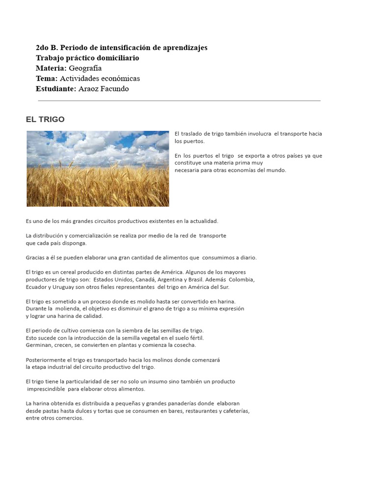Producción y Comercio del Trigo en América | PDF