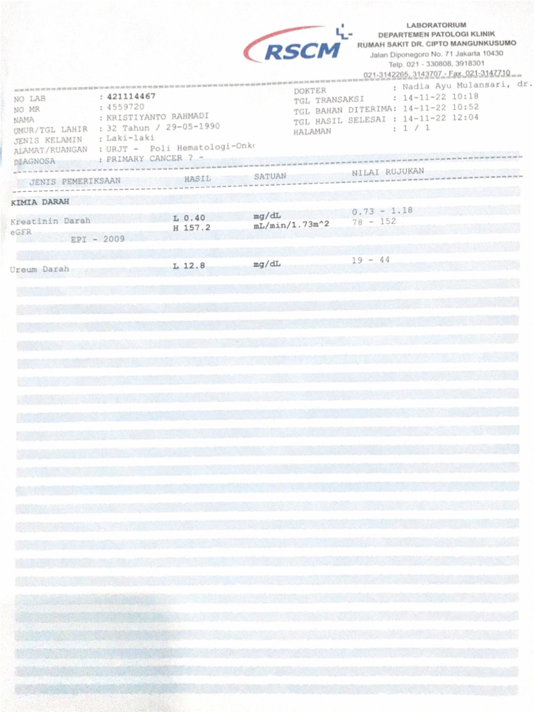 Hasil Lab TGL 14:11:22 RSCM | PDF
