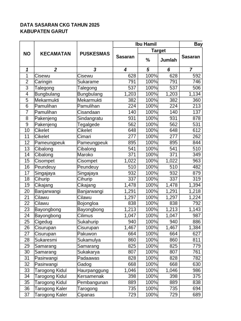 Data Sasaran CKG 2025 Garut | PDF