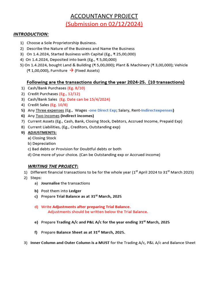 Term II Accountancy Project | PDF