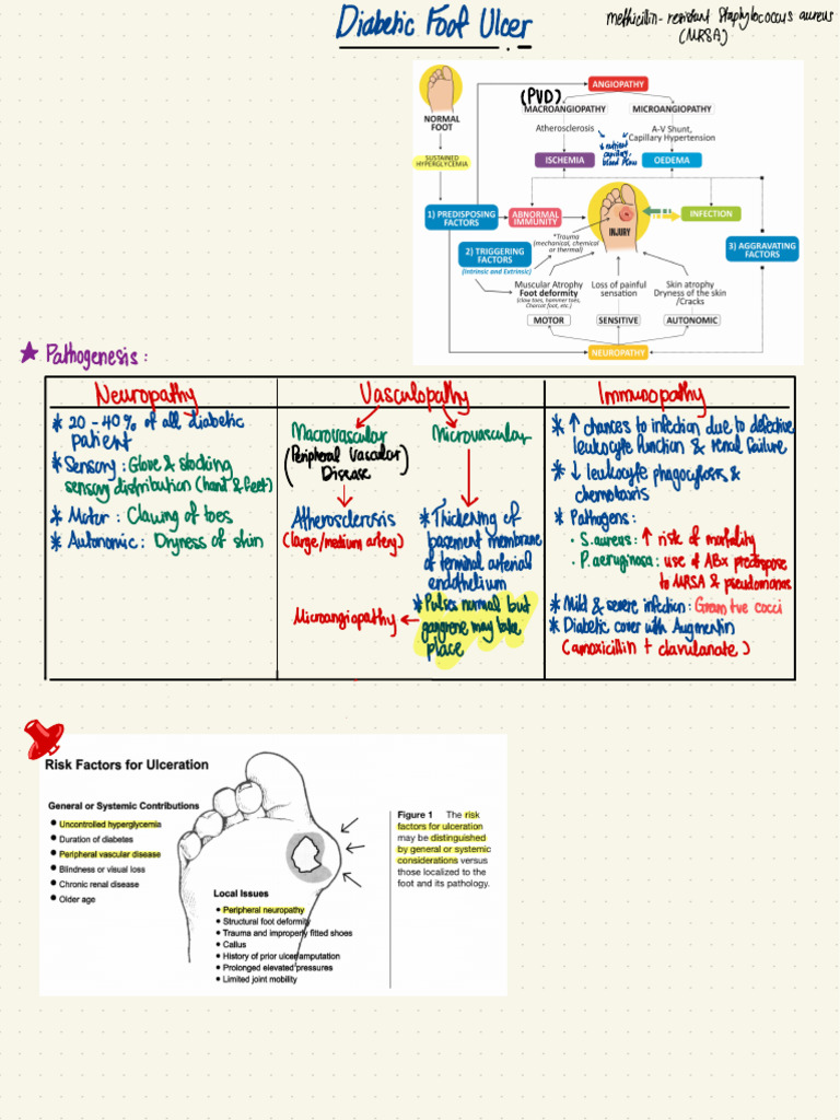 Diabetic Foot Ulcer | PDF | Ischemia | Human Diseases And Disorders