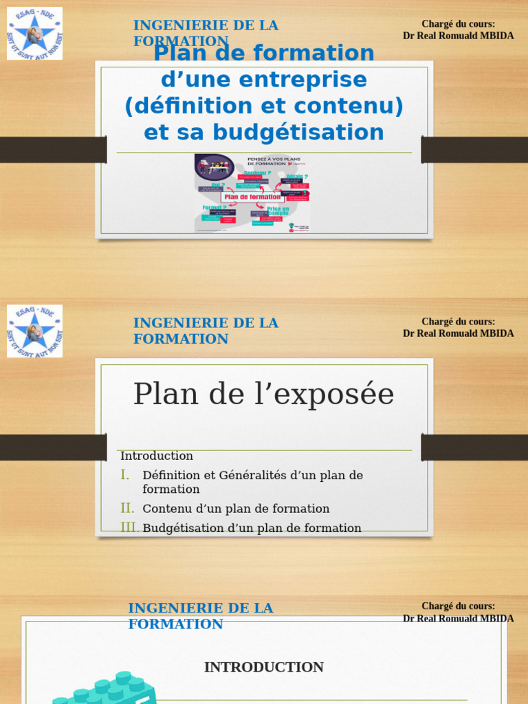 Budget et contenu du plan de formation | PDF | Business | Budget