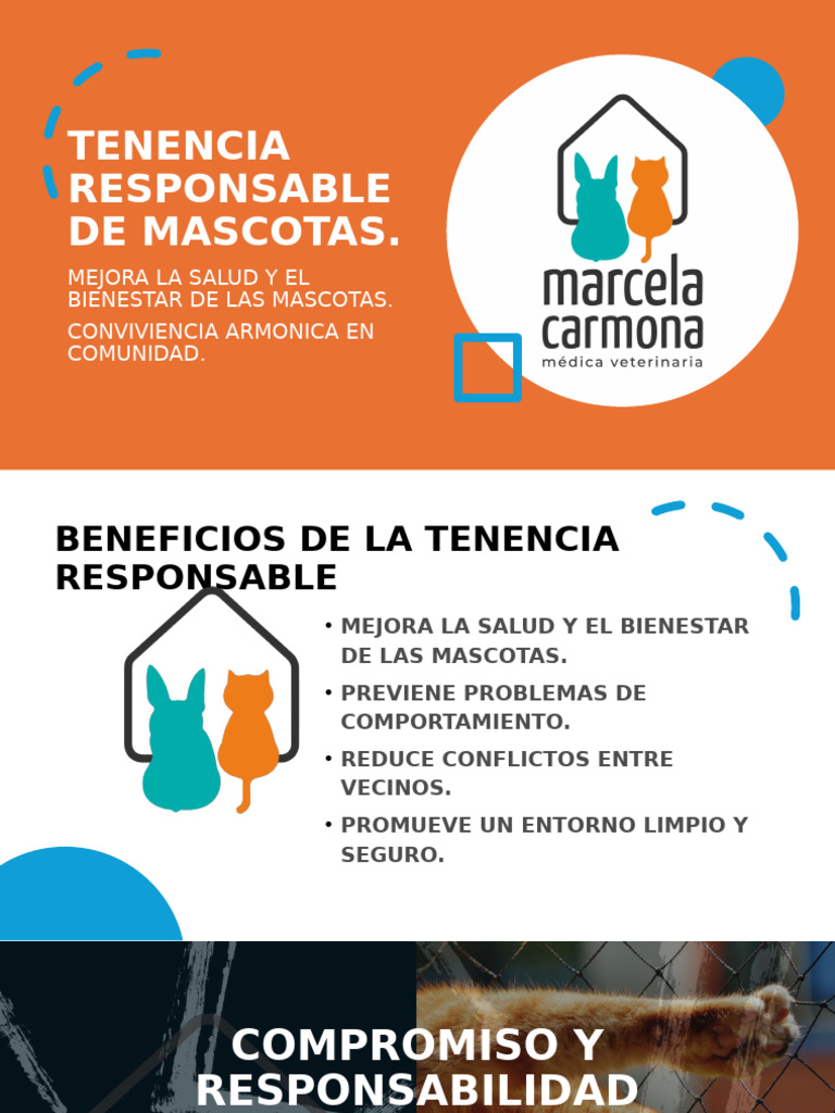 Tenencia Responsable de Mascotas | PDF | Mascota | Animales y humanos