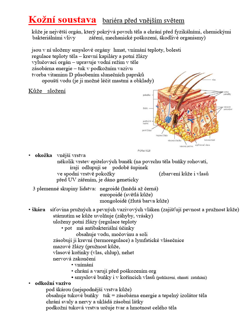 p-8-21-ko-n-soustava-pdf