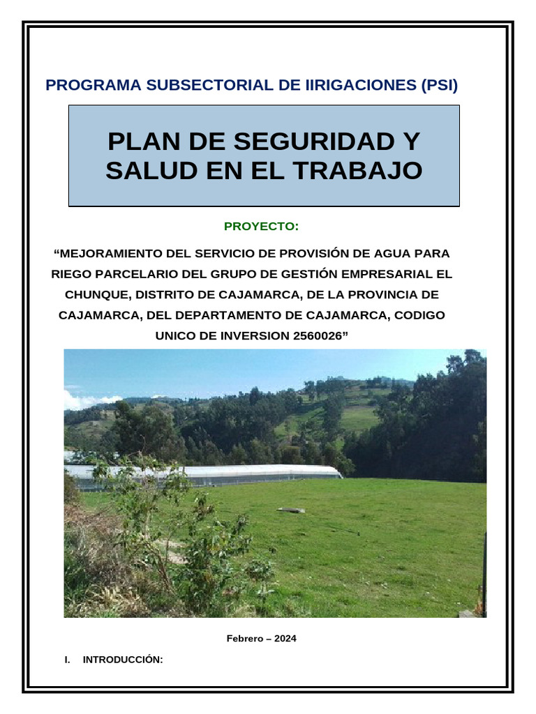 Plan de Seguridad y Salud Laboral | PDF | Seguridad y salud ocupacional ...