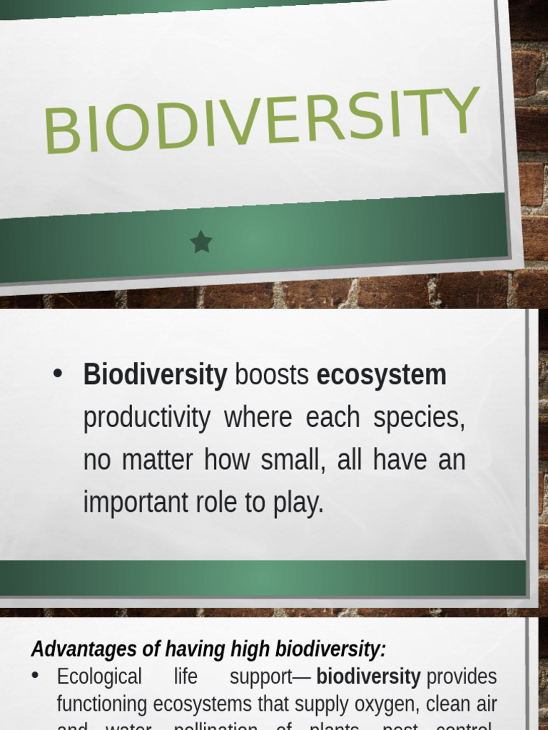 Module 5 Biodiversity | PDF | Food Web | Foods