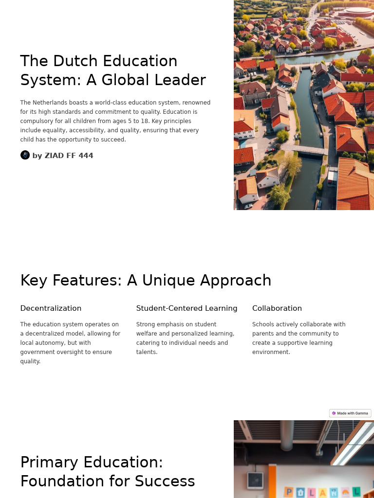 Dutch Education System Overview | PDF | Intelligence | Learning