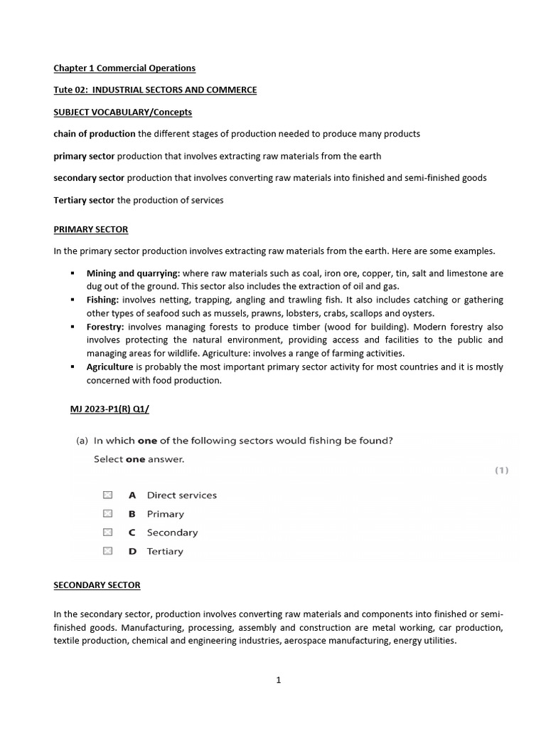 Industrial Sectors Overview: Production Types | PDF | Raw Material