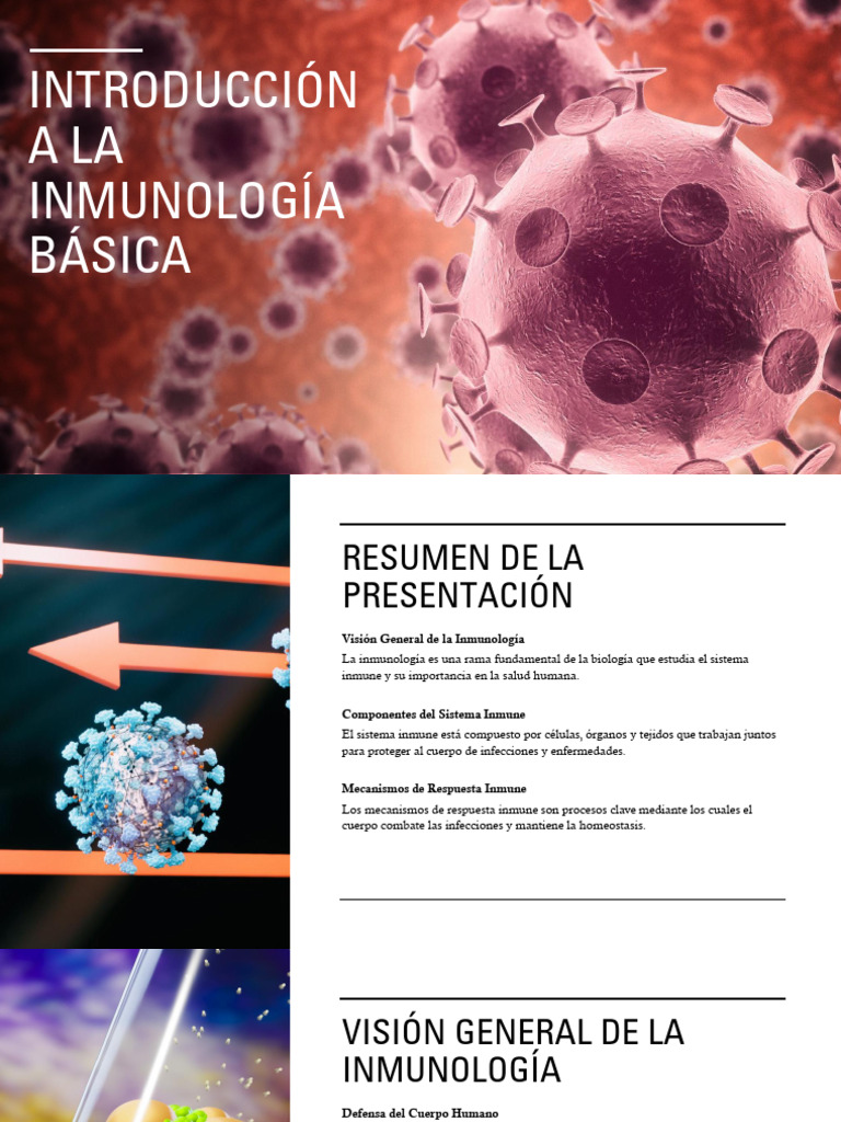 Introduccion a la Inmunología | PDF | Sistema inmune | Linfocitos