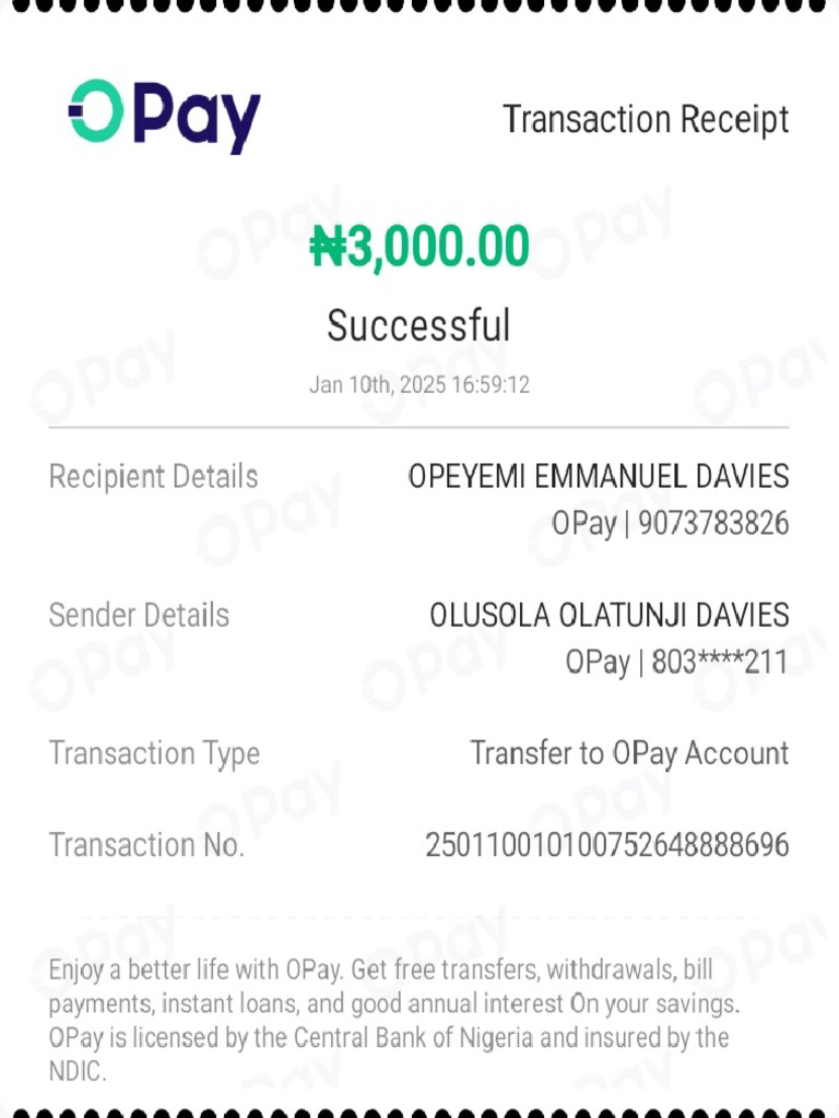 Opay Statement | PDF