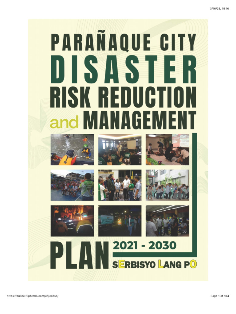 Parañaque Disaster Risk Reduction and Management Plan 2021-2030 | PDF ...