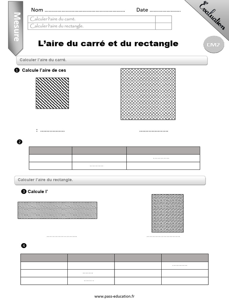 Calculer L'aire Du Carré Et Du Rectangle CM2 Evaluation Bilan | PDF
