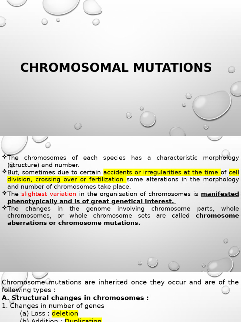 Understanding Chromosomal Mutations | PDF | Dominance (Genetics ...
