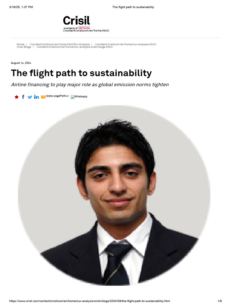 Airline Financing for Sustainable Aviation | PDF | Economies | Climate ...
