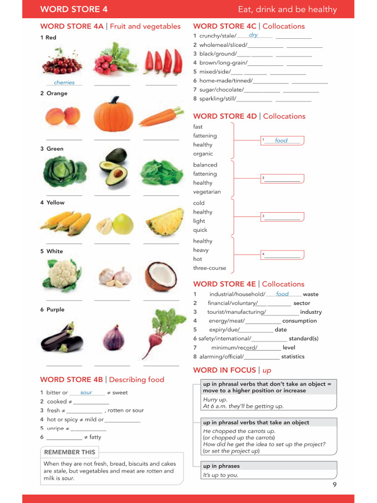 Word Store 4 | PDF