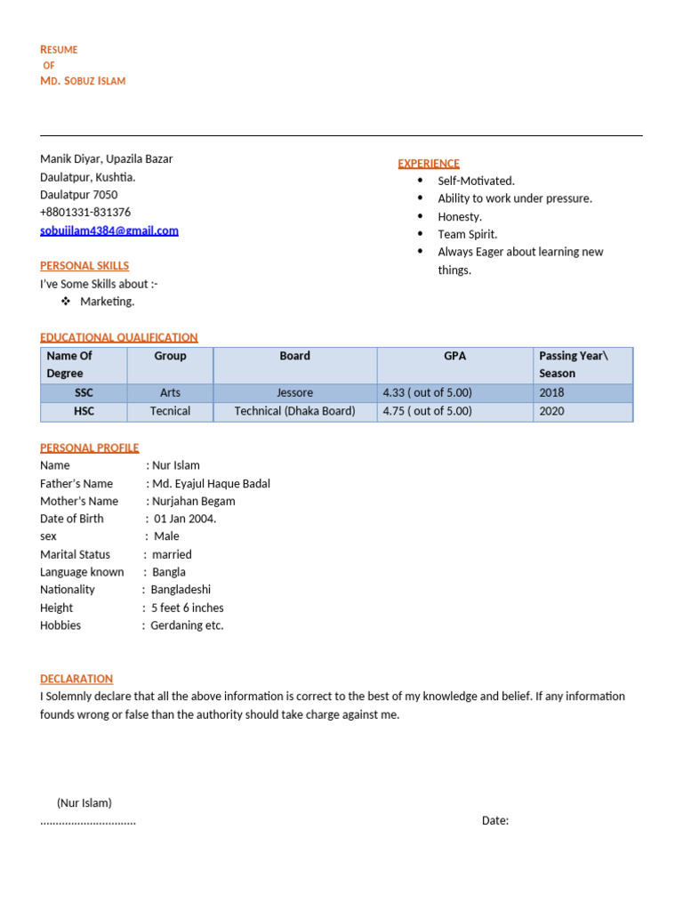 CV Template for Myanmar Job Seekers | PDF