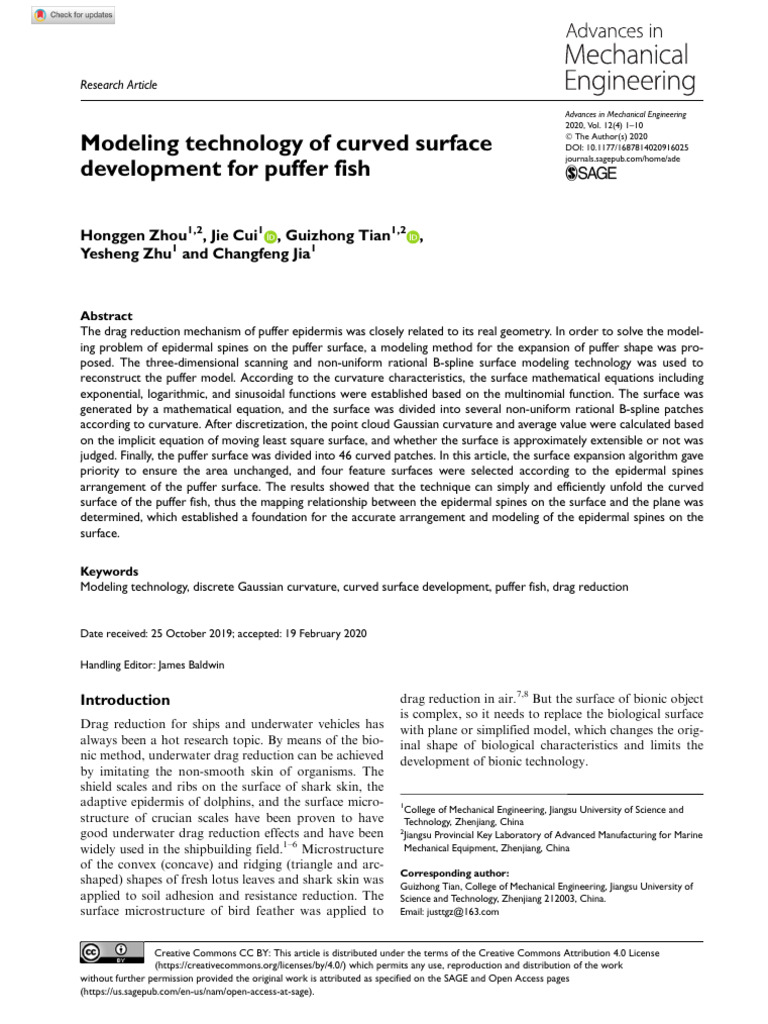 Puffer Fish Surface Modeling Techniques | PDF | Curvature | Area