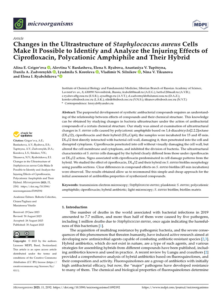 Bio Film | PDF | Antimicrobial Resistance | Staphylococcus Aureus