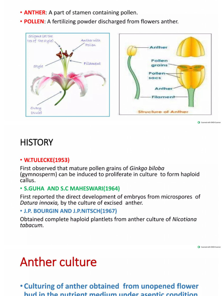 anther-and-pollen-culture | PDF