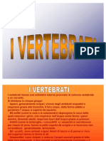 i-vertebrati-1193418599469673-3