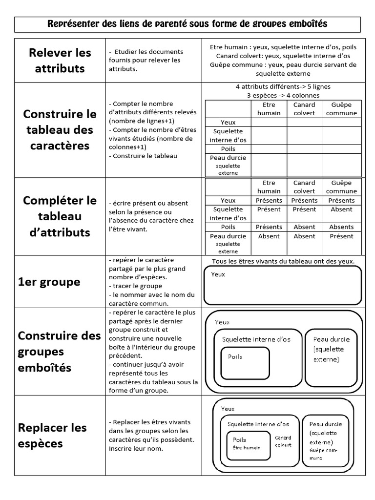 Classification emboîtée en SVT 6ème | PDF | Squelette | Zoologie
