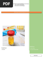 Guide sur l'ECBU et ses techniques | PDF | Appareil urinaire | Urine