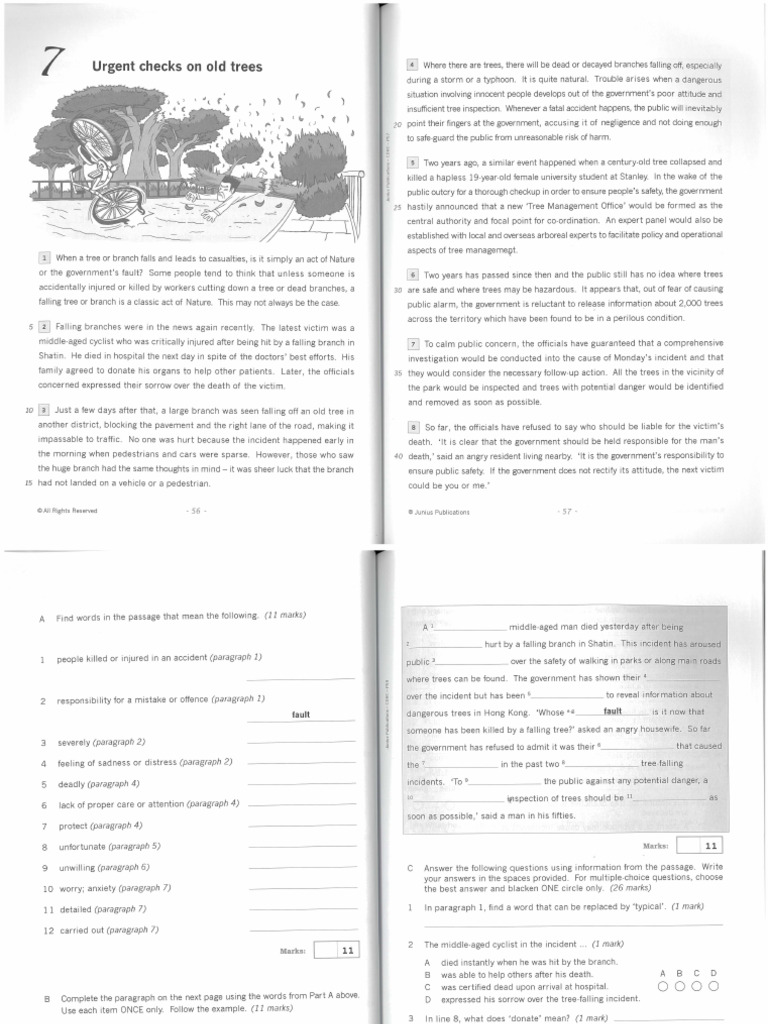 Reading Comprehsion | PDF