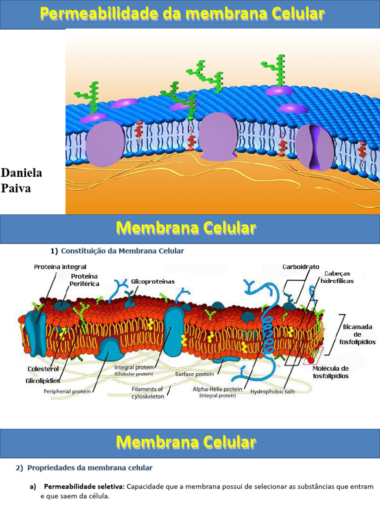 Permeabilidade da Membrana Celular | PDF | Membrana celular | Osmose