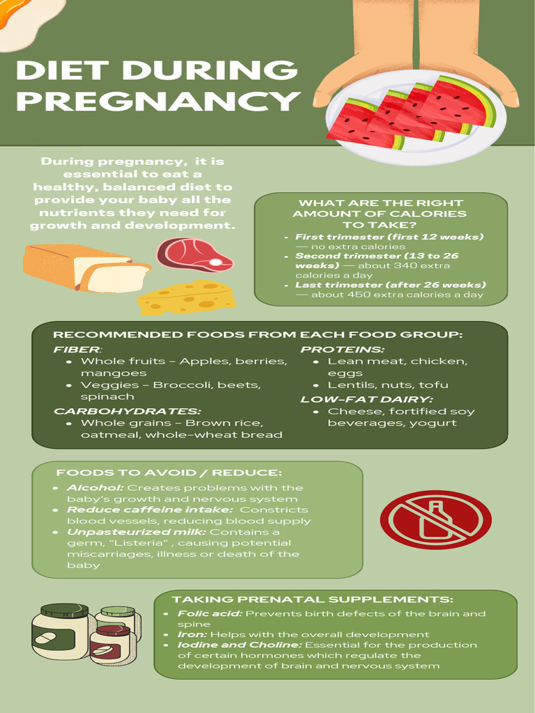 Diet During Pregnancy | PDF