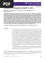 Cell Culture and Seeding Protocol Guide | PDF | Laboratory Techniques