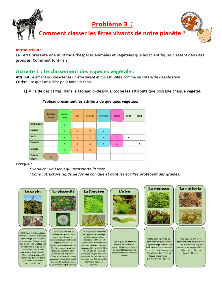 Classification emboîtée des êtres vivants | PDF | Plantes | Feuille