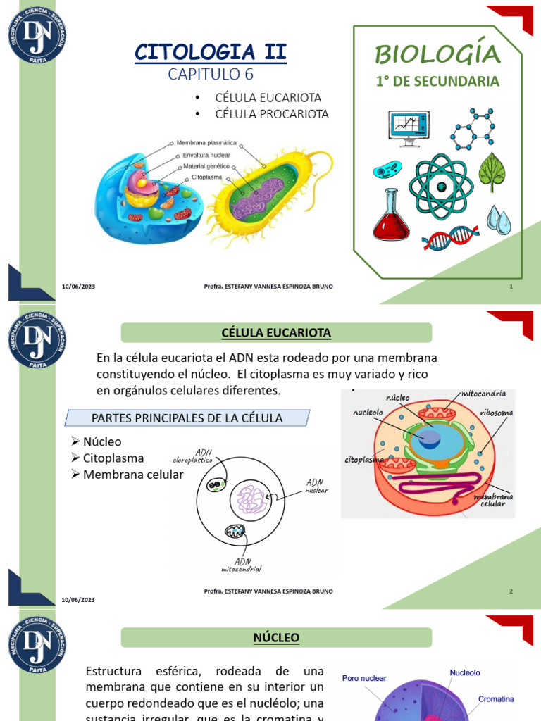 Estructura y Función de Células Eucariotas | PDF | Citoplasma | Nucleo ...