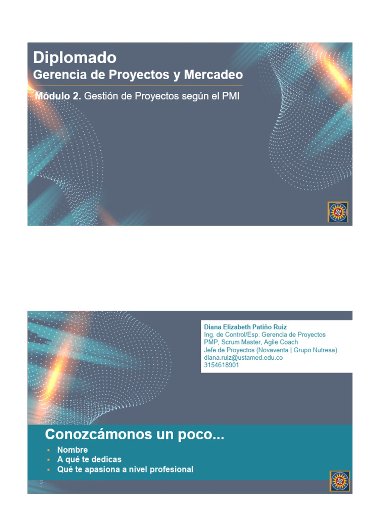 Diplomado en Gestión de Proyectos PMI | PDF | Liderazgo | Gestión de ...