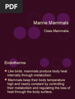 Download Marine Mammals by rebekahbranka5663 SN8398320 doc pdf