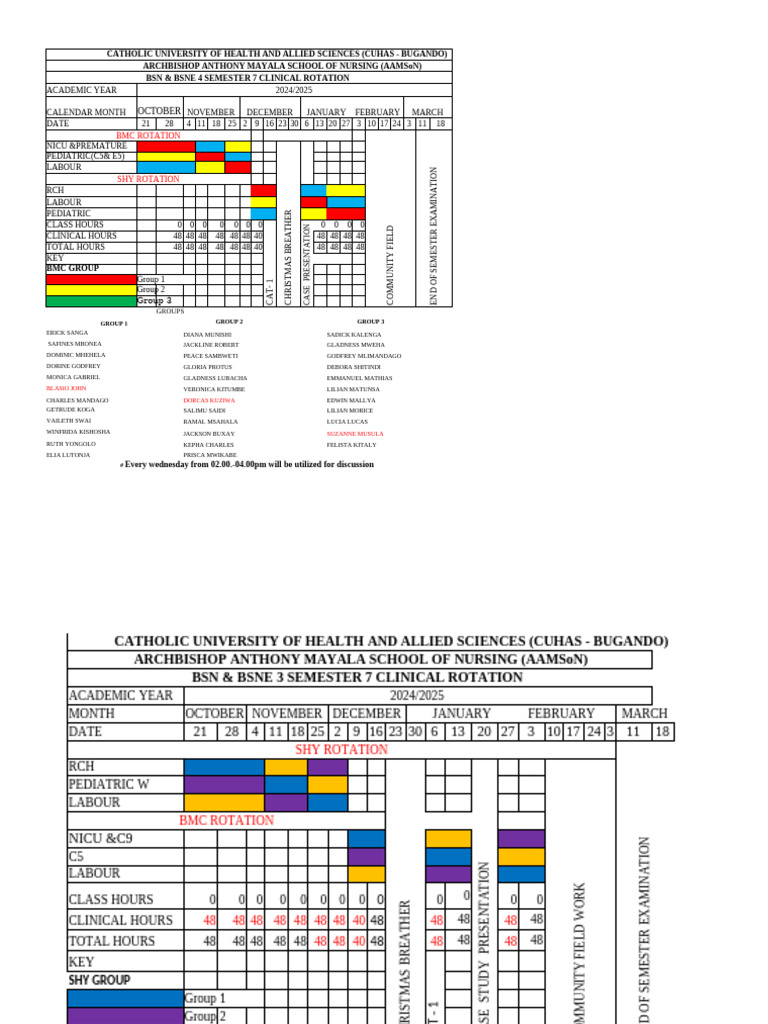 Midwifery Rotation Plan 2024-2025 | PDF