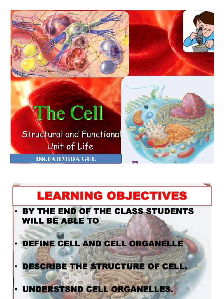 Understanding Organelles and Cell Membrane | PDF | Endoplasmic ...