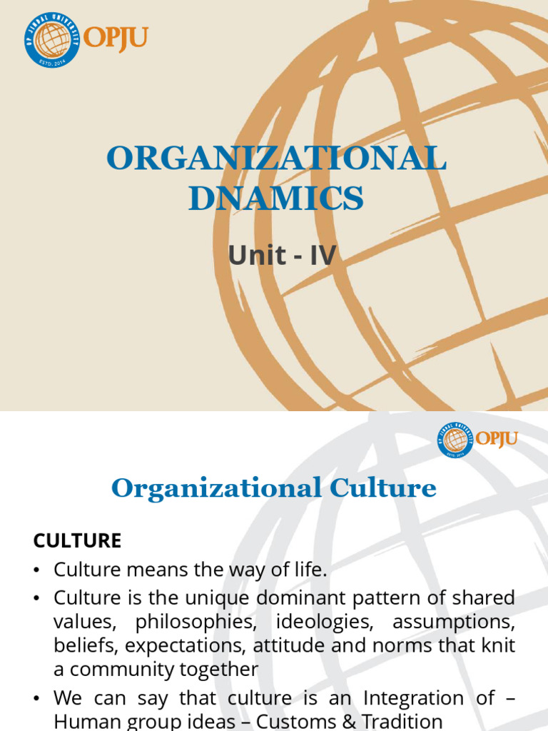 Understanding Organizational Culture Dynamics | PDF | Organizational ...