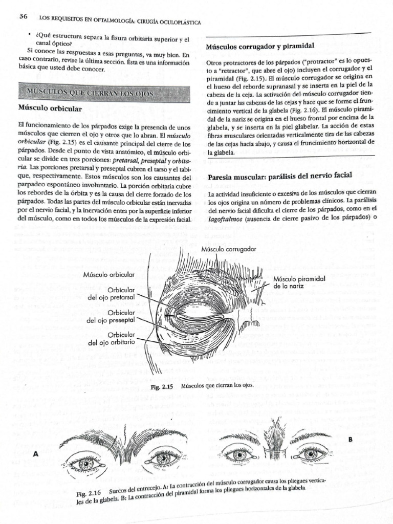 OCP | PDF