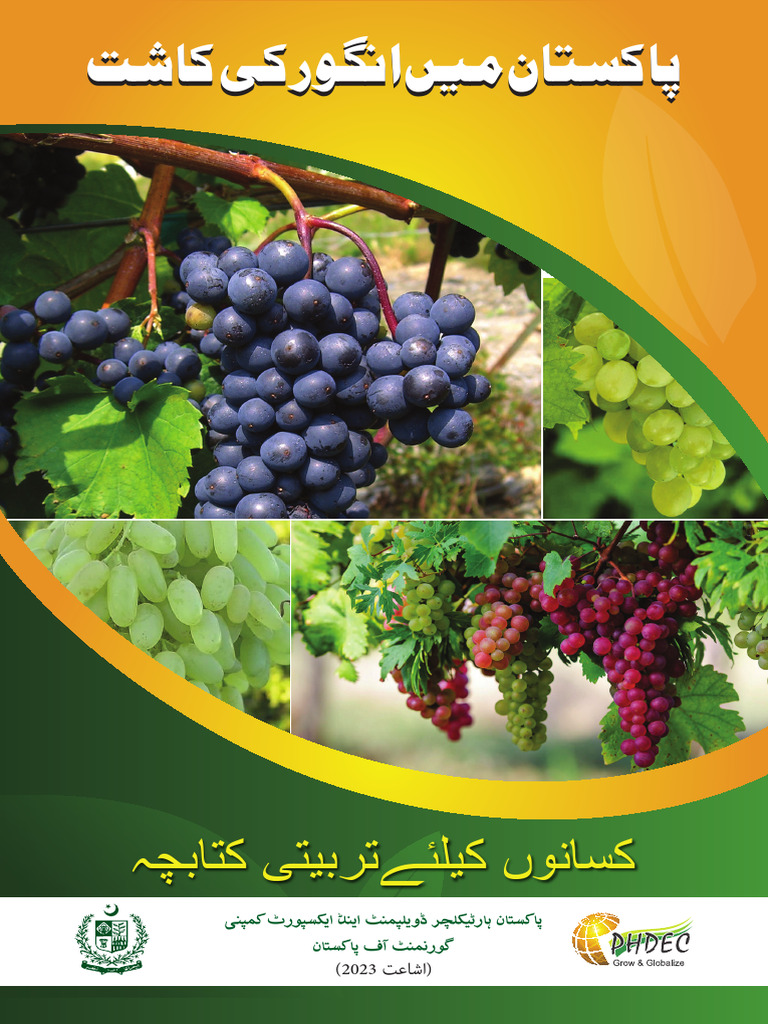 Grapes Booklet | PDF