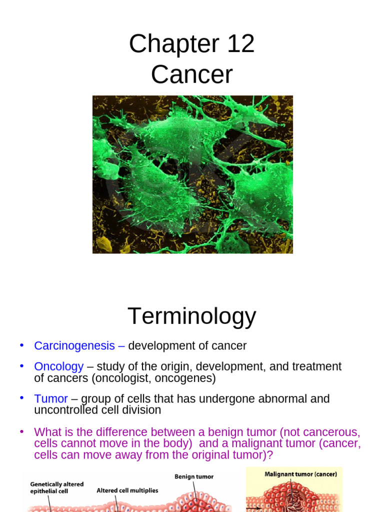CH 12 Cancer | PDF | Cancer | Carcinogenesis