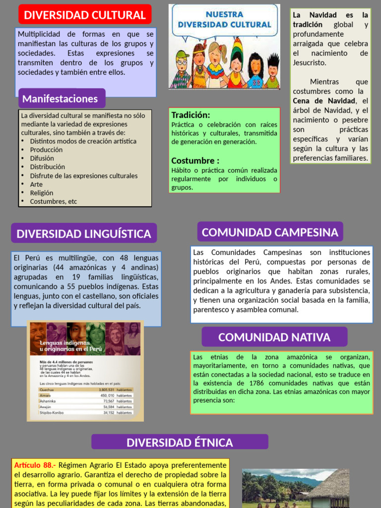 Diversidad Cultural Patrimonio de La Nación | PDF | Patrimonio cultural ...