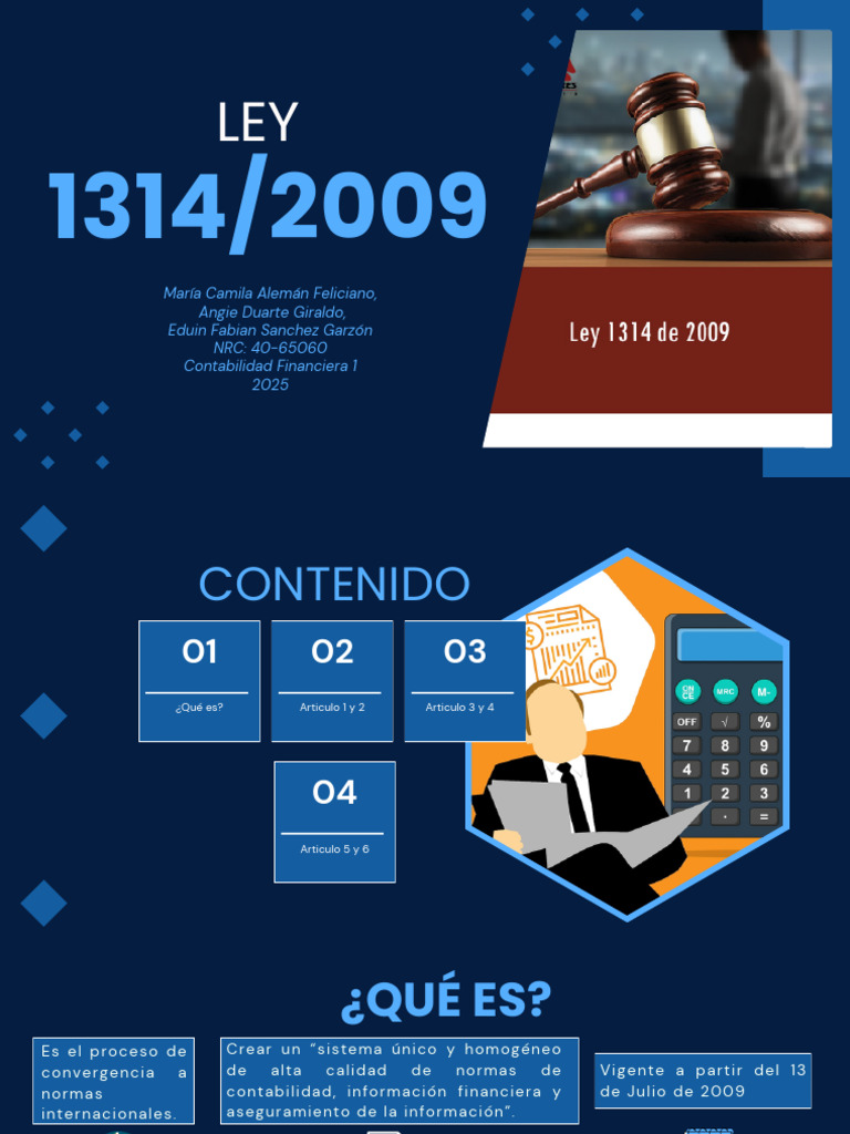 Ley 1314 De 2009 Pdf Contador Contabilidad
