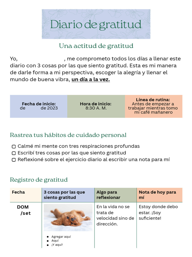 Diario de Gratitud | PDF