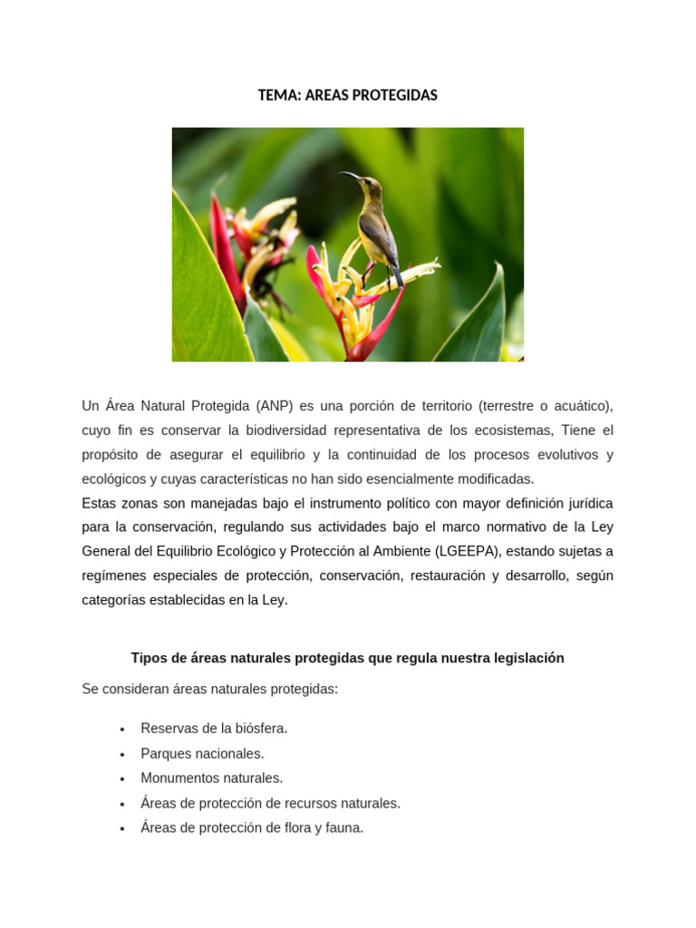 Areas protegidas | PDF | Biogeografia | Conservación del medio ambiente