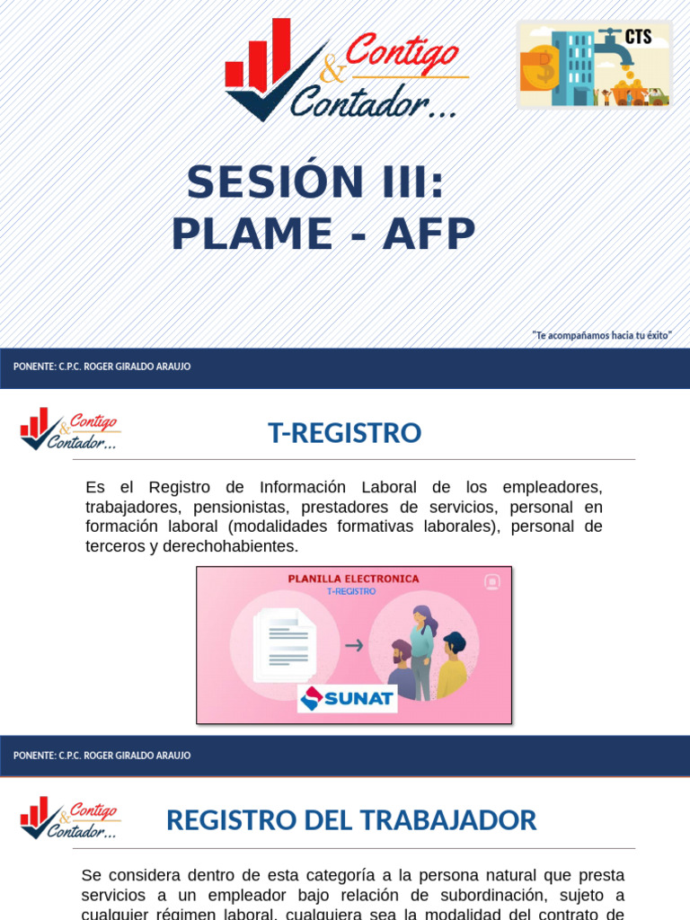Guía sobre PLAME y AFP NET en Perú | PDF