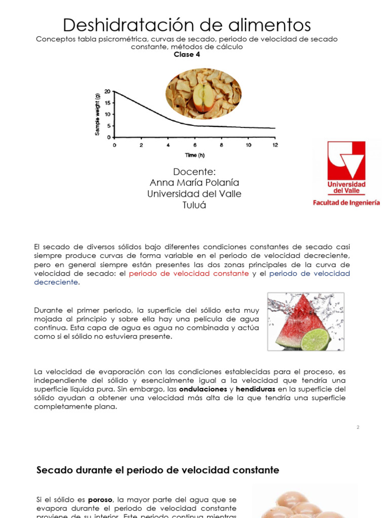 Secado de Alimentos: Métodos y Curvas | PDF | Agua | Humedad